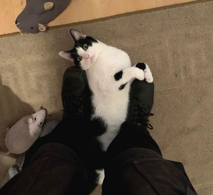 ecc3525a0da14b0c6e23bdf872