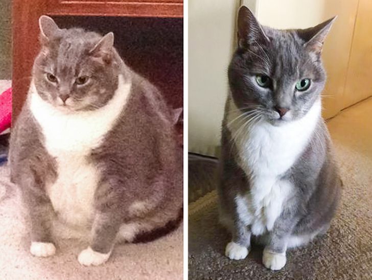 ecc45f5e8aa8adec3dd51fee7b