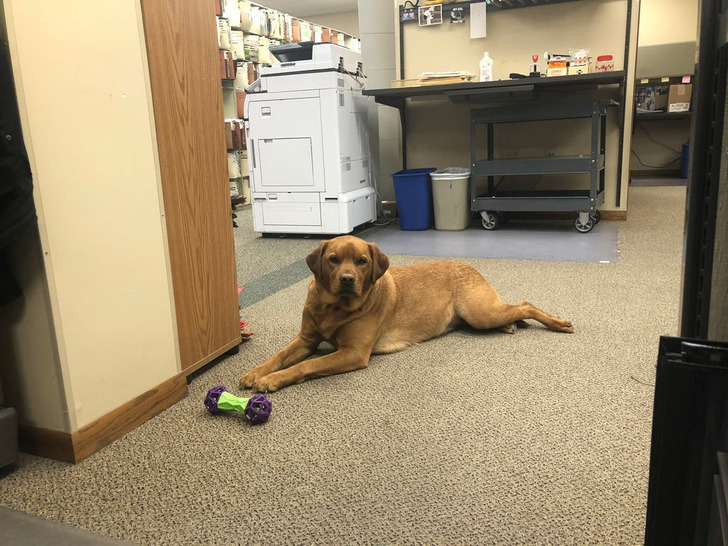 ecc52b58c492066f20af61e081 ecc52b58c492066f20af61e081