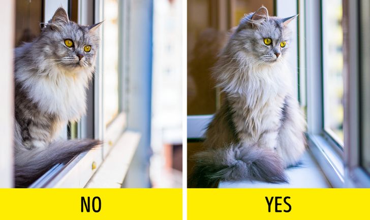 ecc8fd5eb09e1f1413c4f83ddb