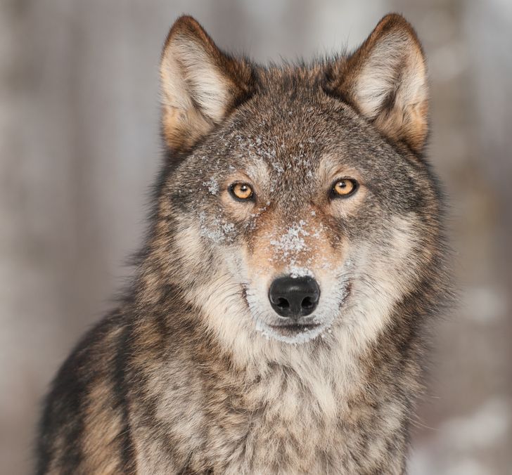 ecdbc7595db47a02931f27b2cd