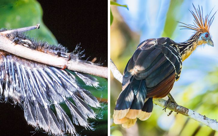 ece6005ec4b456d9f7ef28b17a