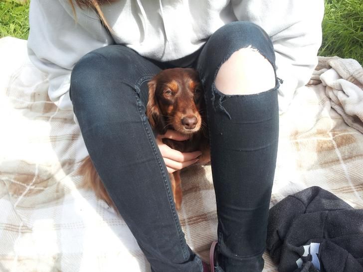 ecec915b618cac9c4484d9e351