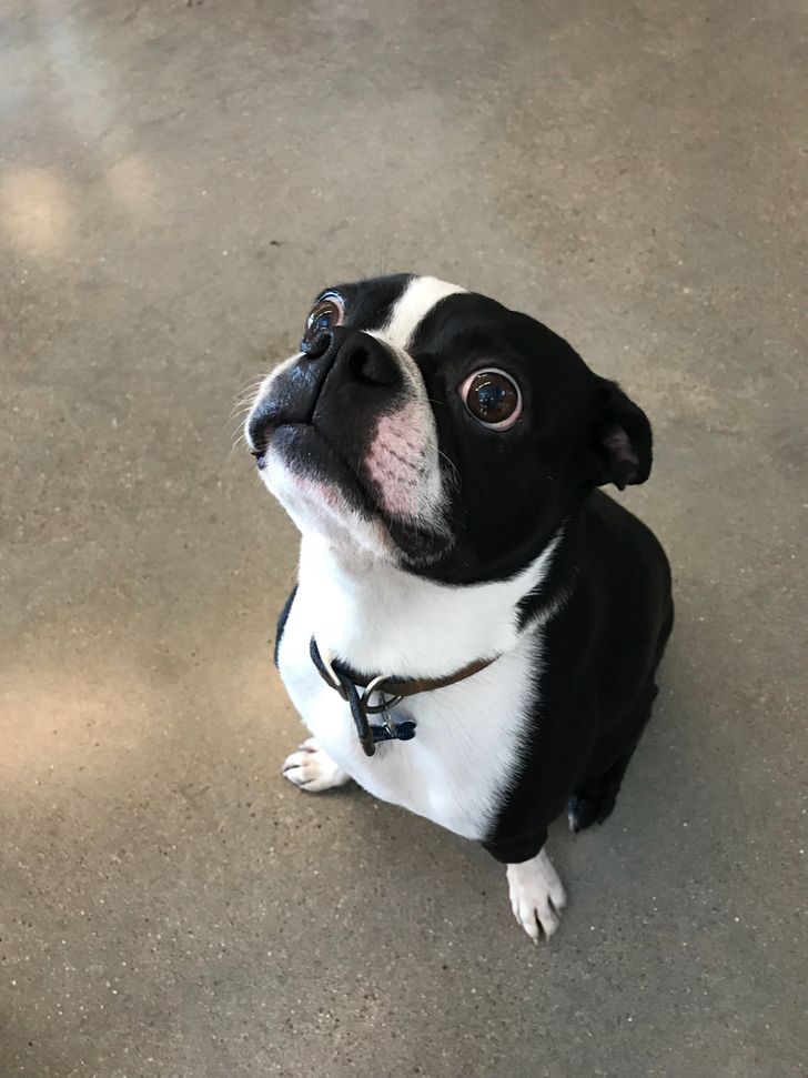 ecfd0d547c9b8e8105999a84a3