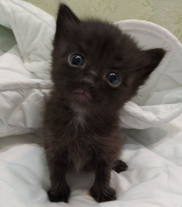 ecffc055abba5b7b4bcfc2afbb