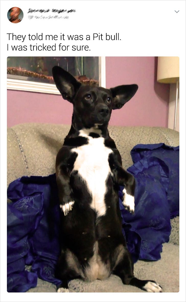 ed013f5b1e8e4e6c448b7301b8