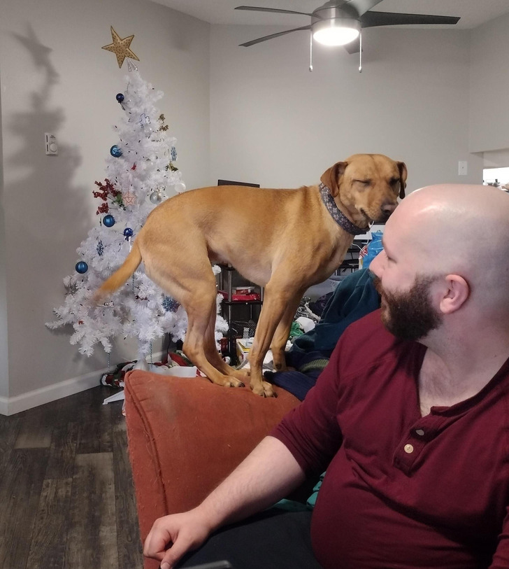 ed01d659ce901ce57df85b4caf ed01d659ce901ce57df85b4caf