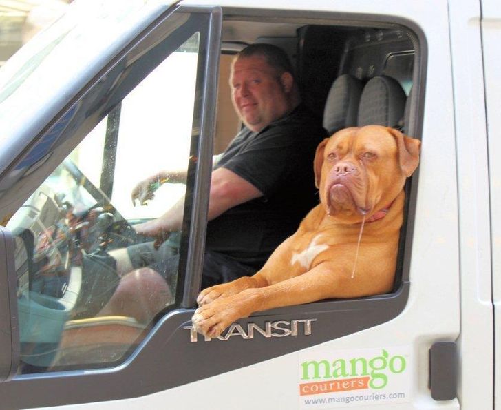 ed05f1589da2e9f424672a633e