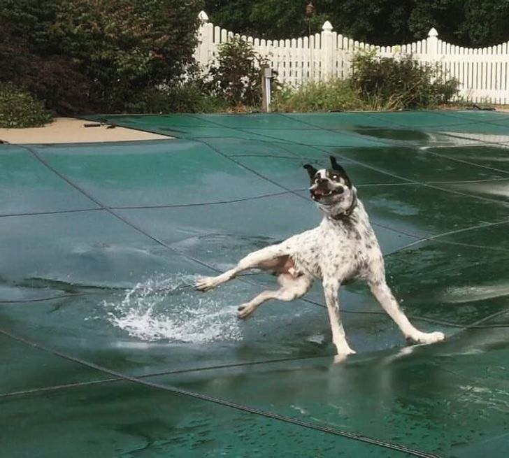 ed08ea5abfad7317ade059e508