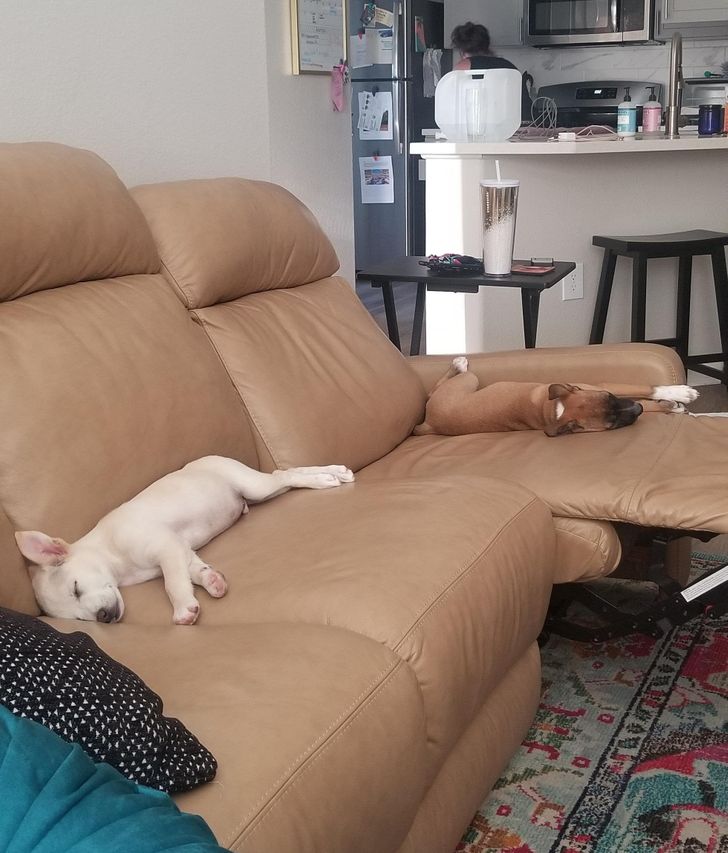 ed0ce7572cbd3169665529a04e