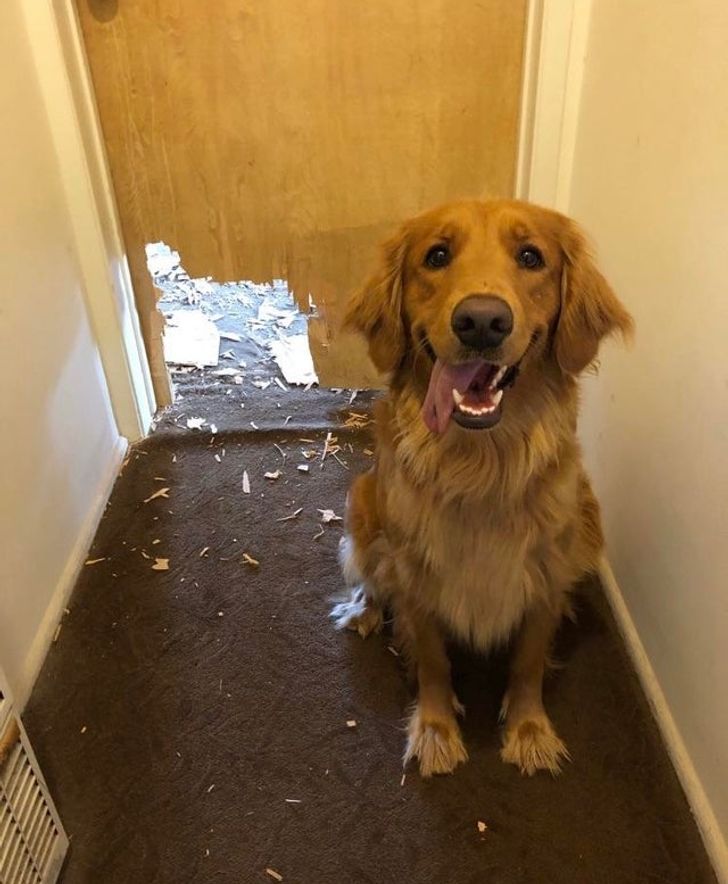 ed0eb75932ba4deff2526c6da2