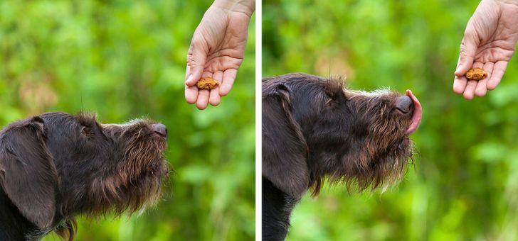 ed16a15081b25a7aecd1527dfe