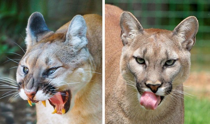 ed17875e7bad9e0b8ffbffa345