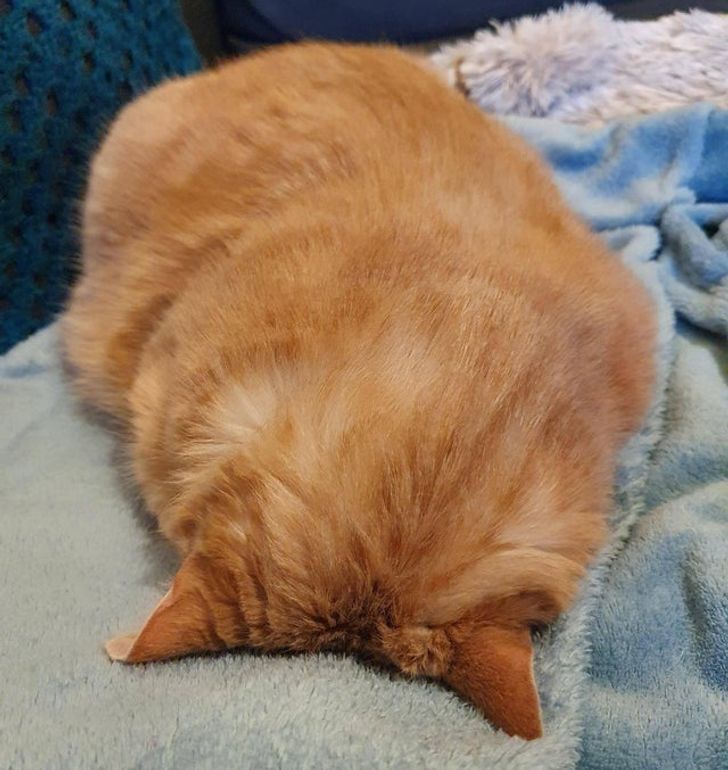 ed19385eb084eabee355f3a4f5