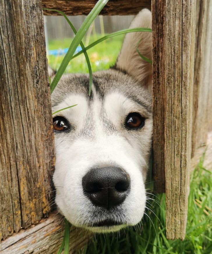 ed20fc5c53bff13a87299e5ac7