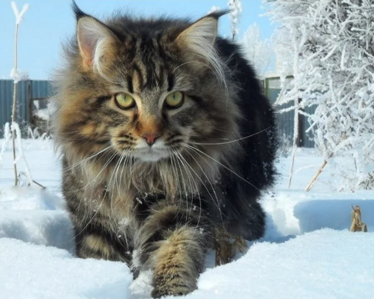 ed22fc5816b821ab8106c5dcbc