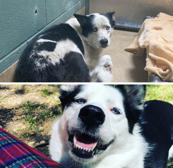 ed232756efa034c060602358f6