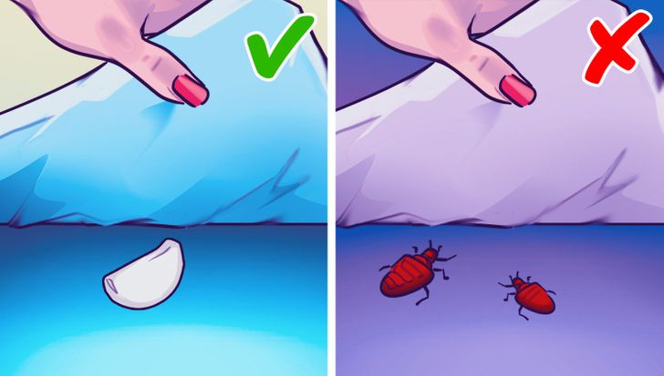 ed262955bbbfb9aa841bb92e07