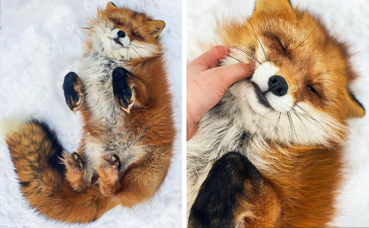 ed272752299df9ad2b92f53900