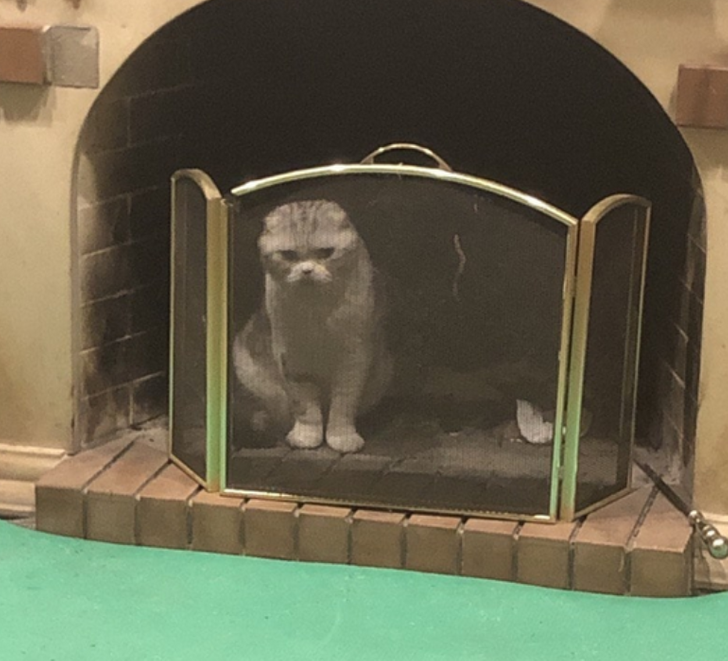 ed28d05944ada0292561b04200