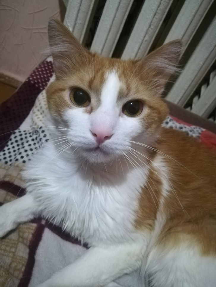 ed2ba859f4862cea13df5cb10e