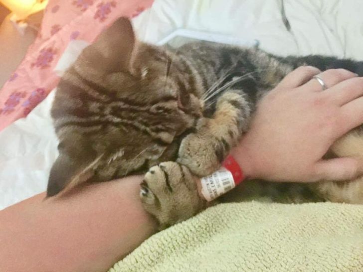 ed330b5f99aebebfbc74d960fb