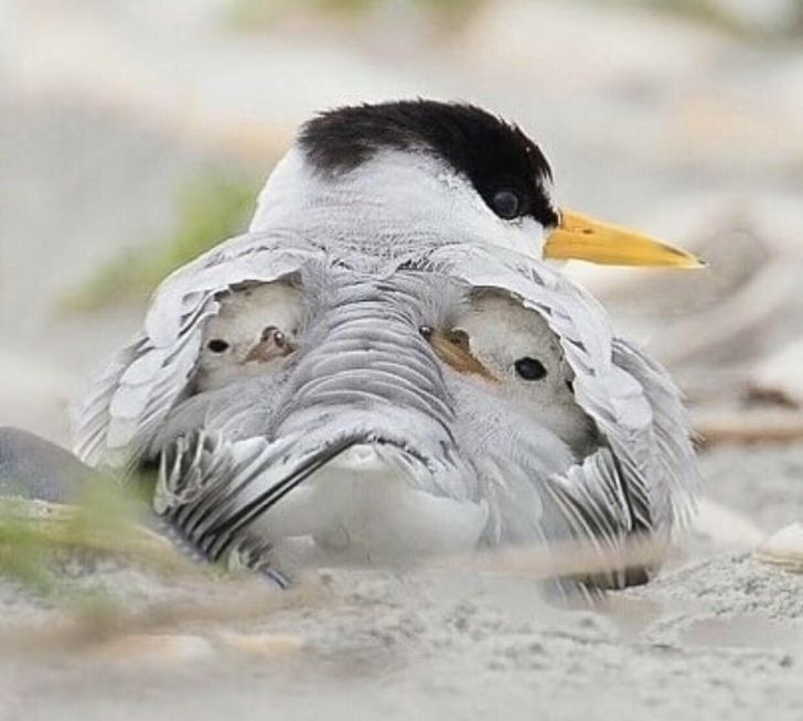 ed386d5b3c88763b33114cb0b8