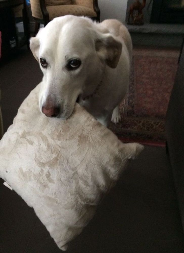 ed38cf5297acfceb9995d61aff