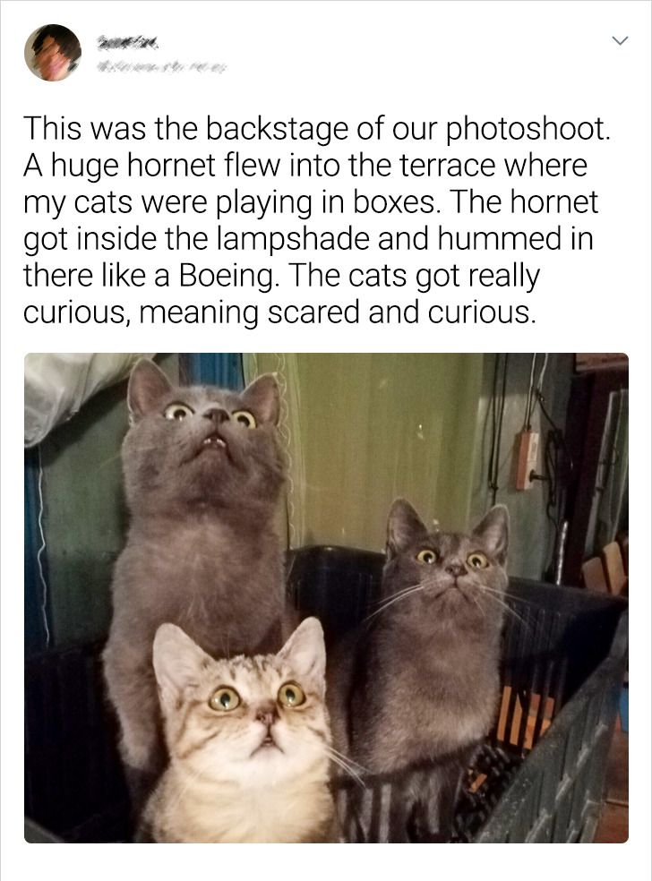 ed408e5141b263ff4423e21520