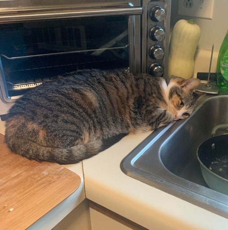 ed40fe5c198f3d56a24b669e6d