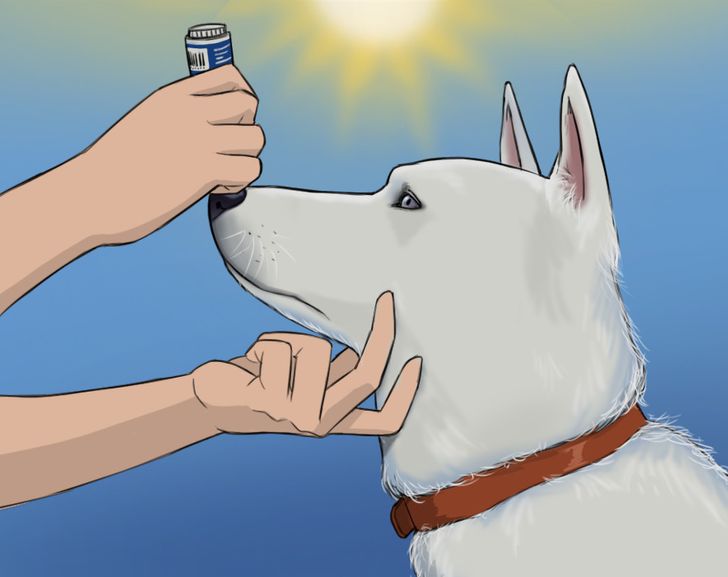 ed447455fabbdd3d89cd16b313