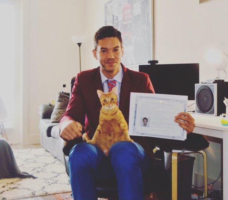 ed453d5a2bbec3277516499e7b