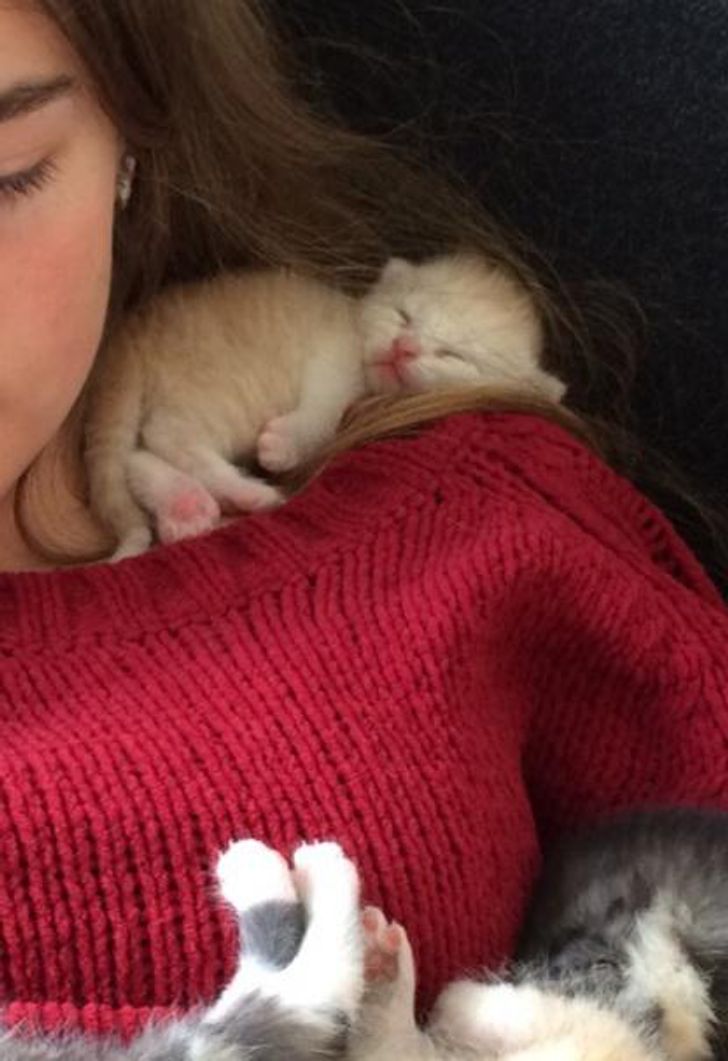 ed45c355a8962d8c4811449a34