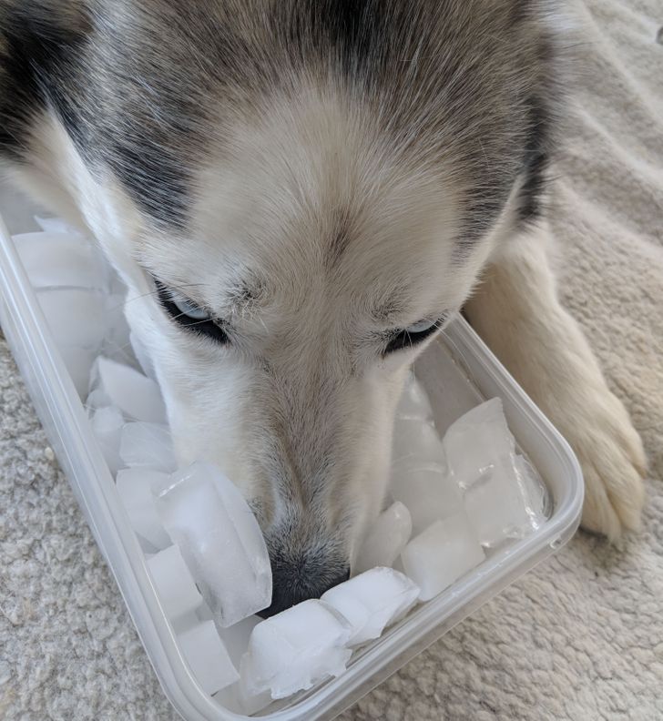 ed52ce5ee7811d84ee5bff367e