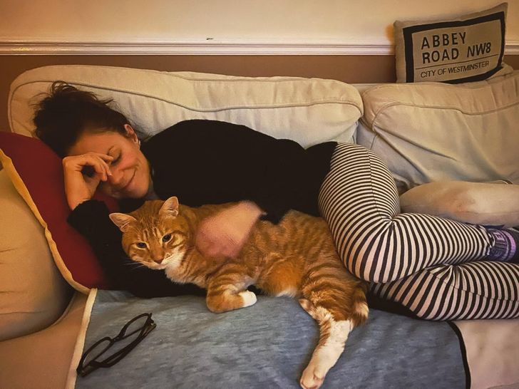 ed60815093bc272c357b887d53