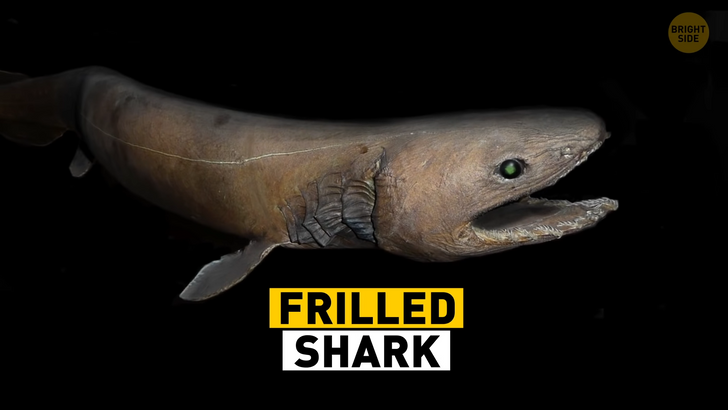 ed61045c9fa57bf1523f9ebba4