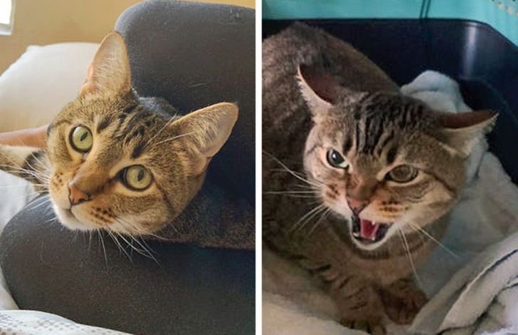 ed630b51fa852faa0fbbd92164