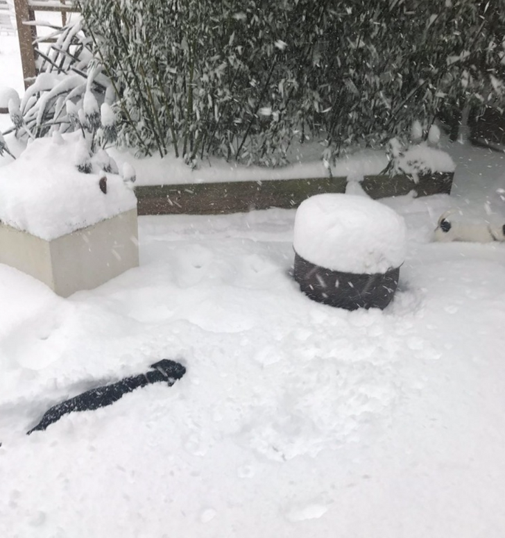 ed656d5b85ac916be8b437c17f