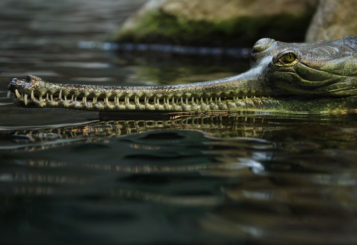 ed75a45001aa33e36b51a2572d