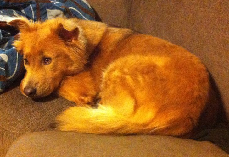 ed829d503886125cf820baccad