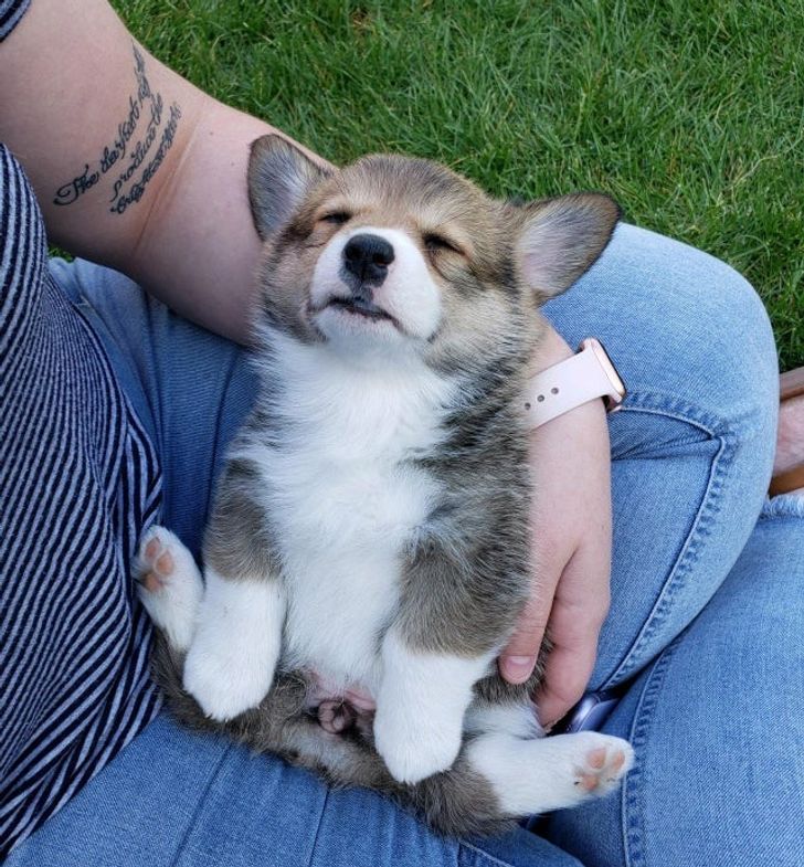 ed844d5fd980ac21099a13bcf2