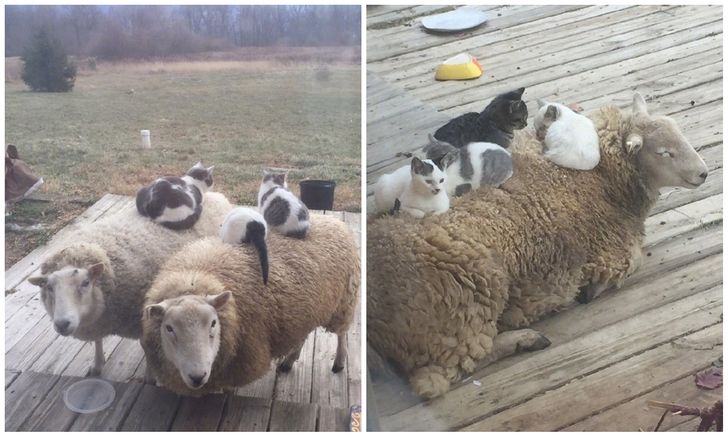 ed848b55ddaad08250124c3134