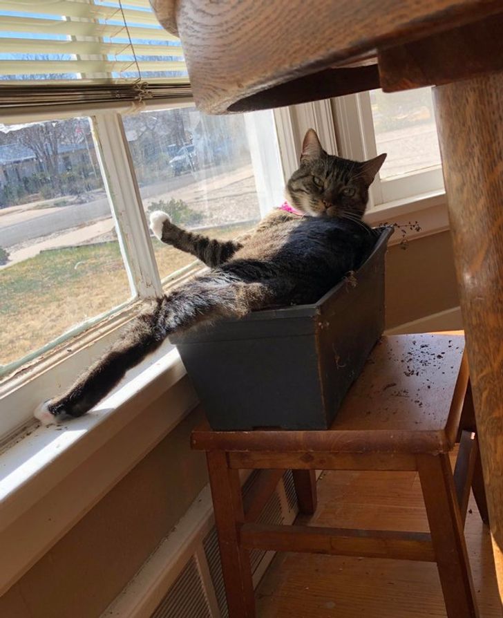 ed866f5d03ac78ba00a14e905c