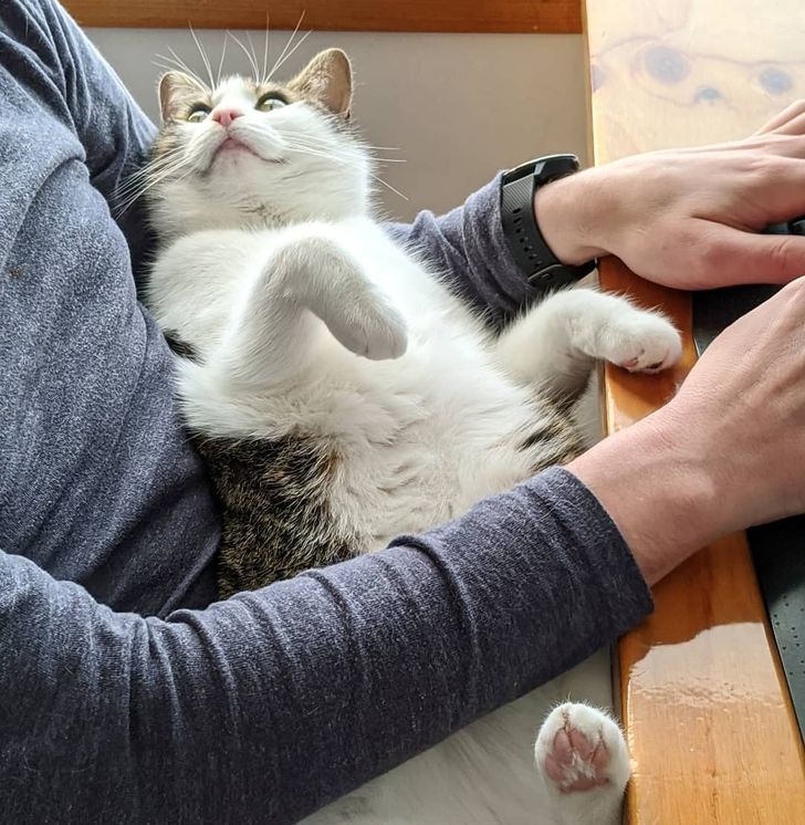 ed8de35ec095120219acbed635 ed8de35ec095120219acbed635