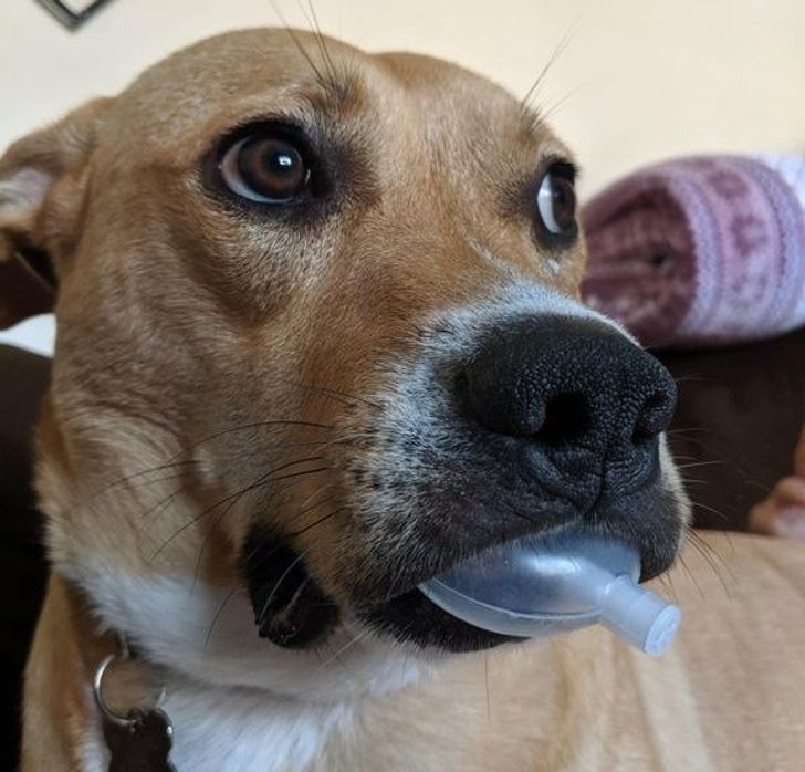 ed93365e02a1bd07e6978c3932 ed93365e02a1bd07e6978c3932