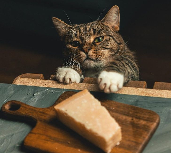 ed9449532d98046fd17b1bc10a