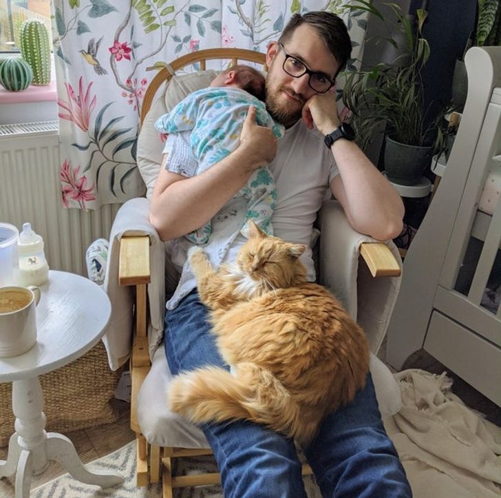 ed9678596eb1fda0367b2e8487