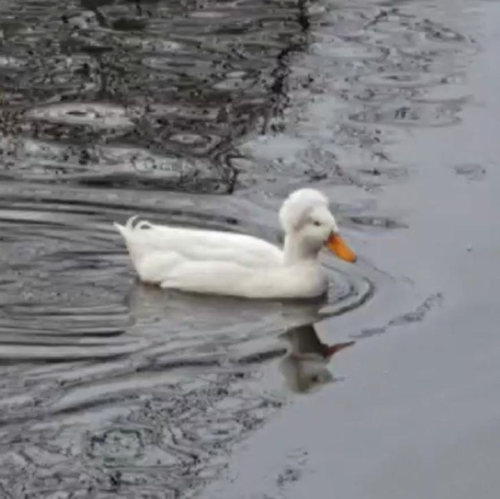 eda2e15477883584bd7a9b8719