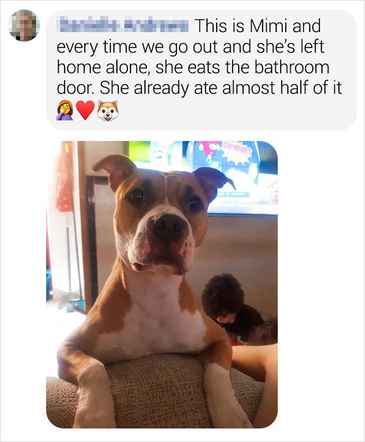 eda7825efe8c02fd1e6863ebe8