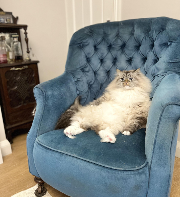 eda8495231b79605cce459d7da eda8495231b79605cce459d7da